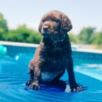 Kleiner Pool im Garten - so holen Sie das Maximum heraus