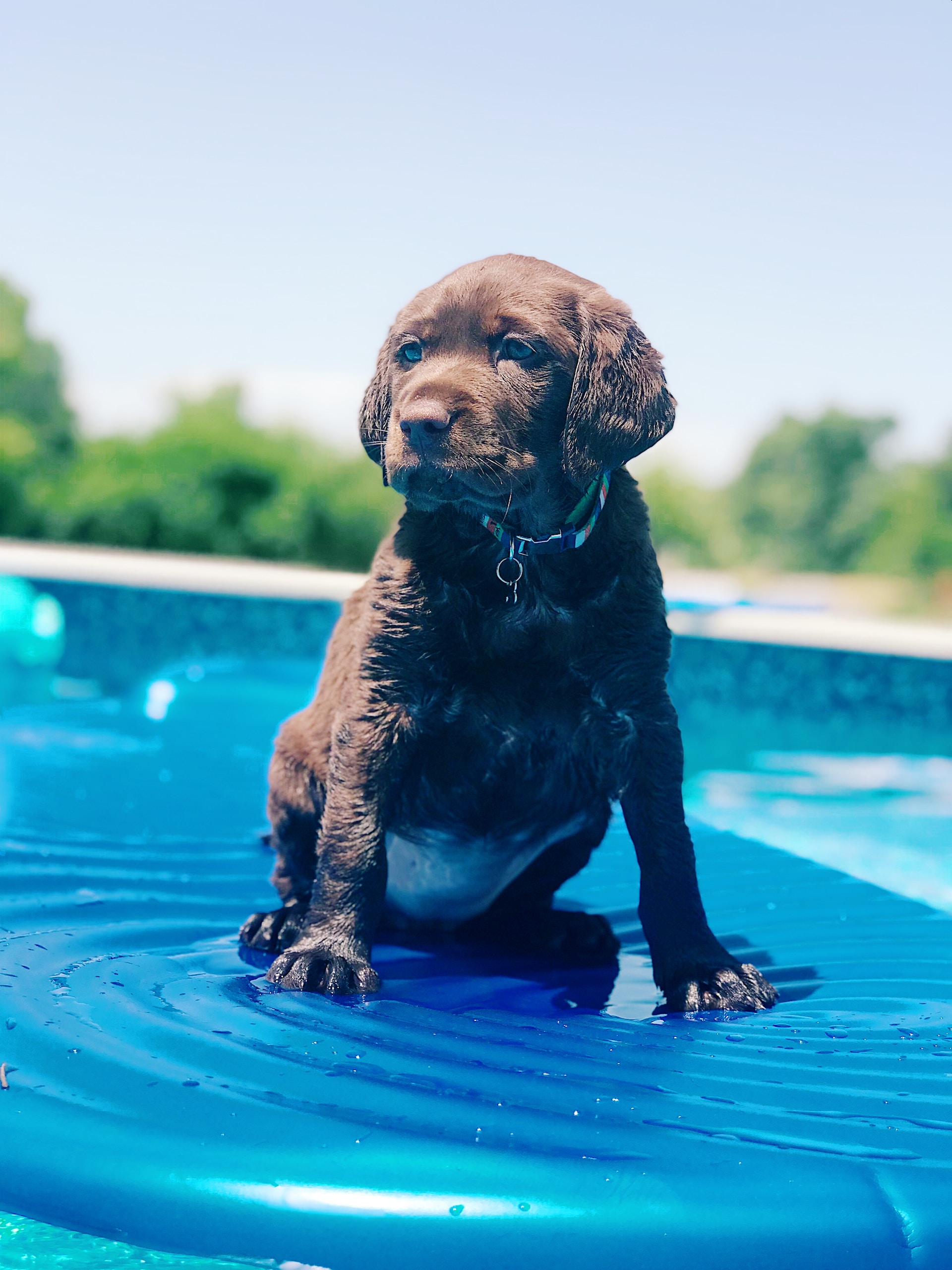 Kleiner Pool im Garten - so holen Sie das Maximum heraus