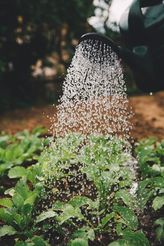 Gartenzubehör - was Ihr Garten benötigt