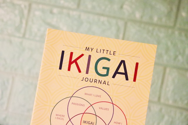 My little IKIGAI journal