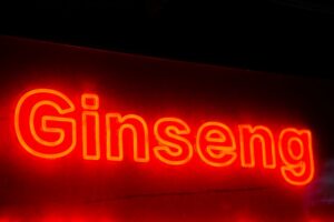 Roter Ginseng Wirkung: Was darf man erwarten?