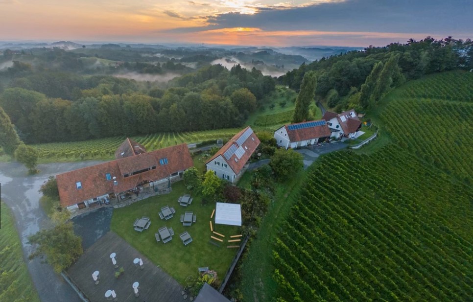 Weingut Pongratz: Geheimtipp aus der Südsteiermark